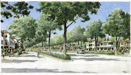 Enloe Hospital and Avenues Neighborhood Plan